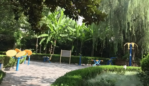 2025深户条件_电影与历史：兰博打倒的敌人全是美利坚密友 电影与历史敌人全是美