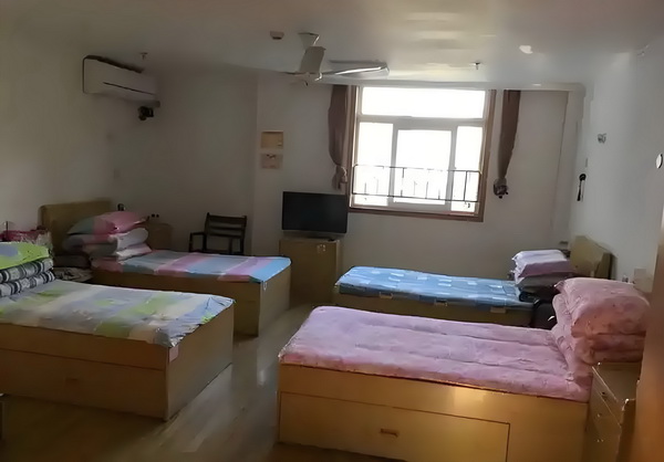 深圳办理户口的条件_全智贤毫无歉意！3大奢牌紧急切割，150亿夫债待还，或将自毁前程 撞上城际一辆野猪快车